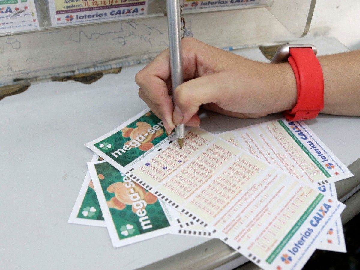 Resultado da Quina: aposta de Gavião Peixoto acerta quadra e ganha R$ 10,2  mil, São Carlos e Araraquara