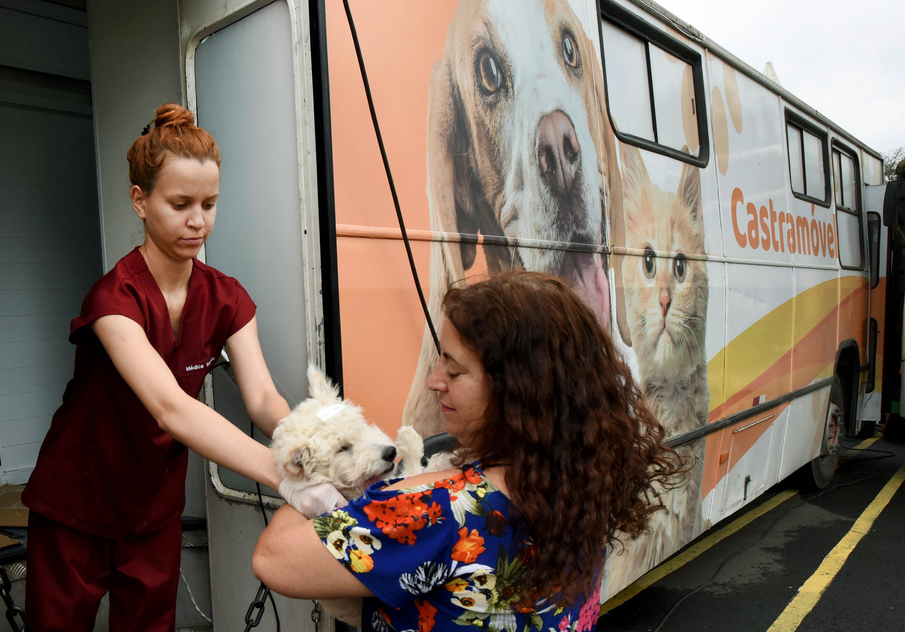 A foto mostra uma veterinária entregando um cachorro após o procedimento para a tutora