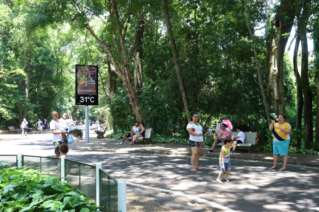 A foto mostra pessoas caminhando no Bosque dos Jequitibás em um dia de calor