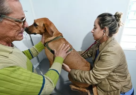a foto mostra um cachorro caramelo sendo atendido por uma veterinária e seu tutor segurando