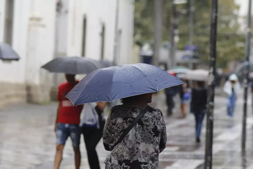 a foto mostra uma mulher com um guarda-chuva durante a chuva em Campinas