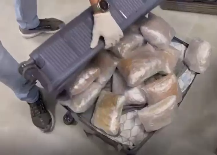 a imagem mostra uma mão abrindo uma mala cheia de drogas