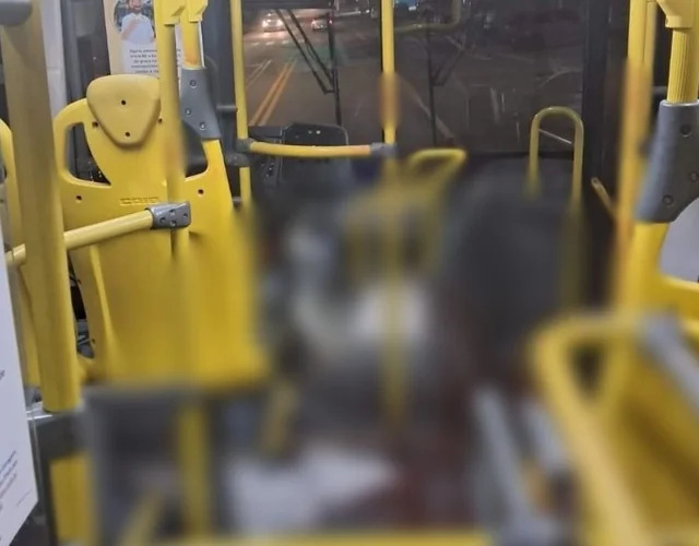 Crime aconteceu dentro de ônibus metropolitano (Foto: Divulgação)