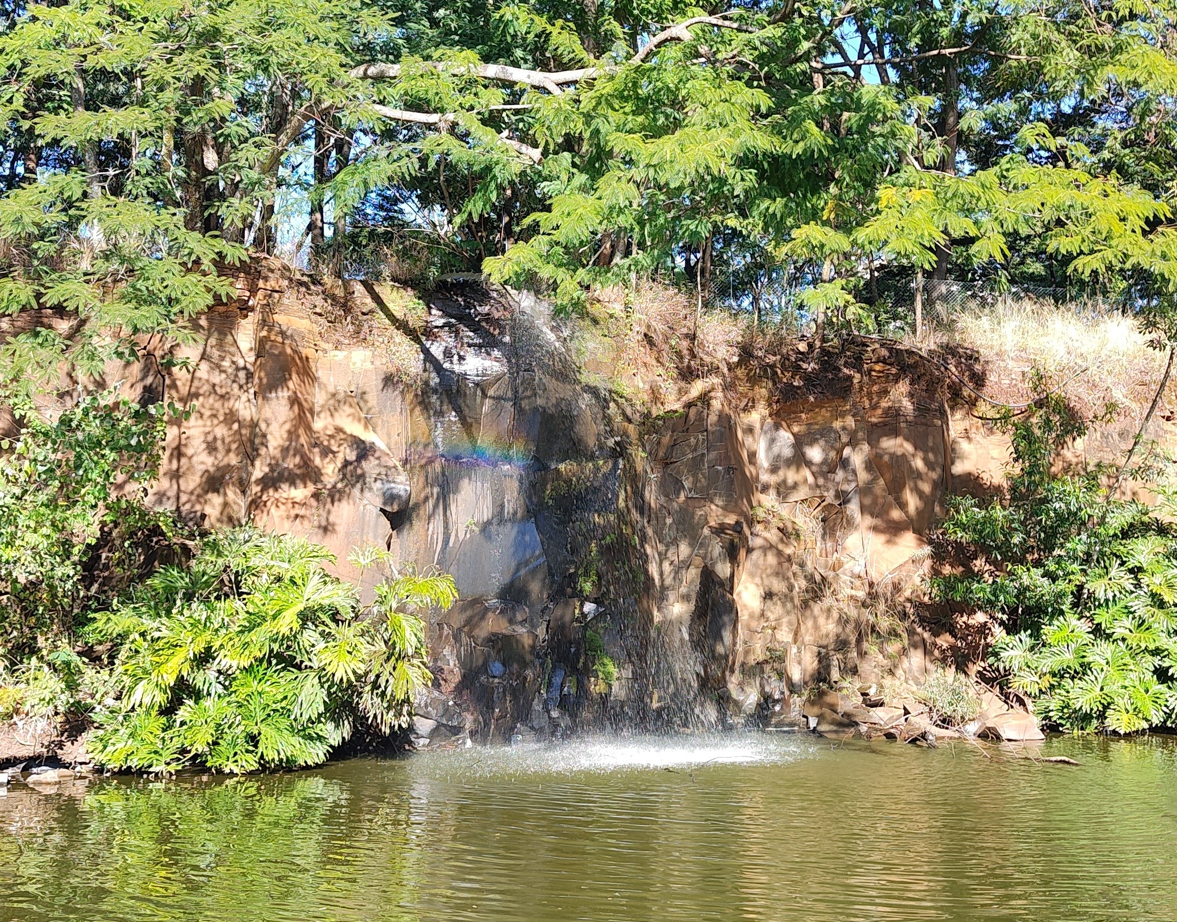 Lago do Parque Curupira, em Ribeirão Preto
