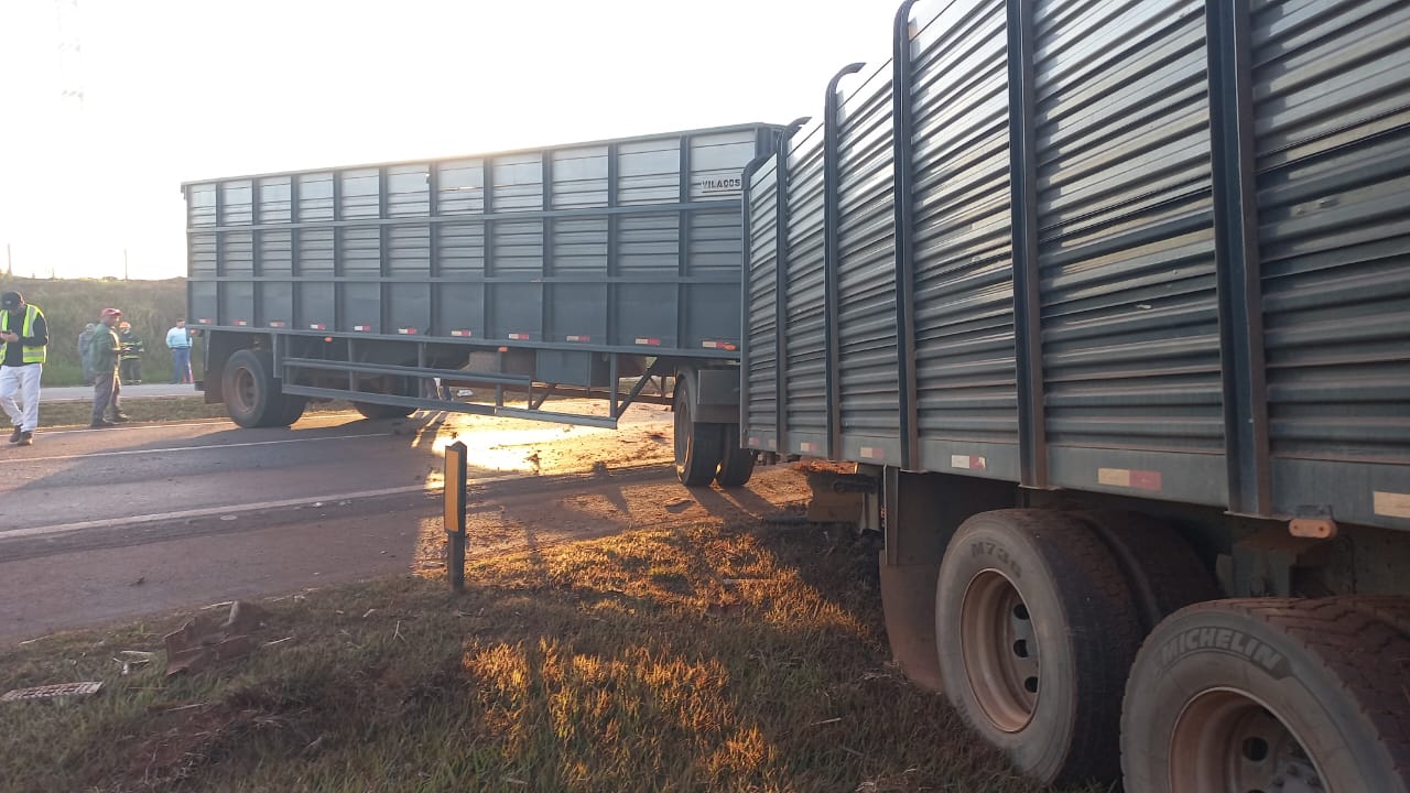 caminhão bateu em barranco na rodovia Armando de Sales Oliveira