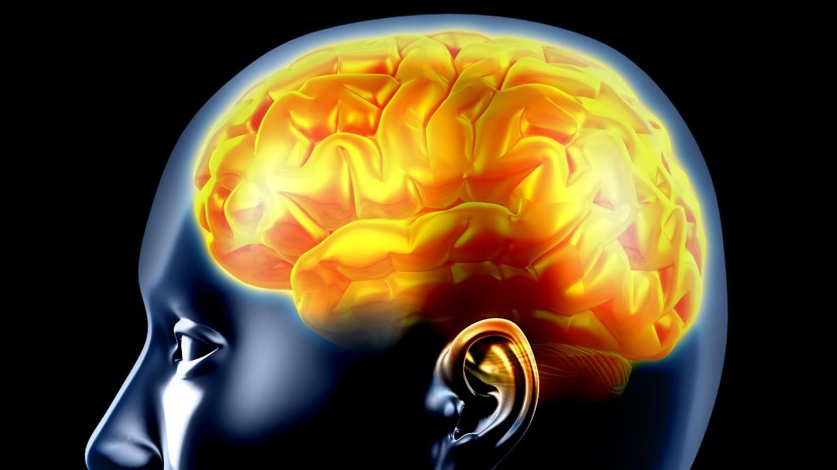 Imagem mostra o cérebro humano de forma estilizada