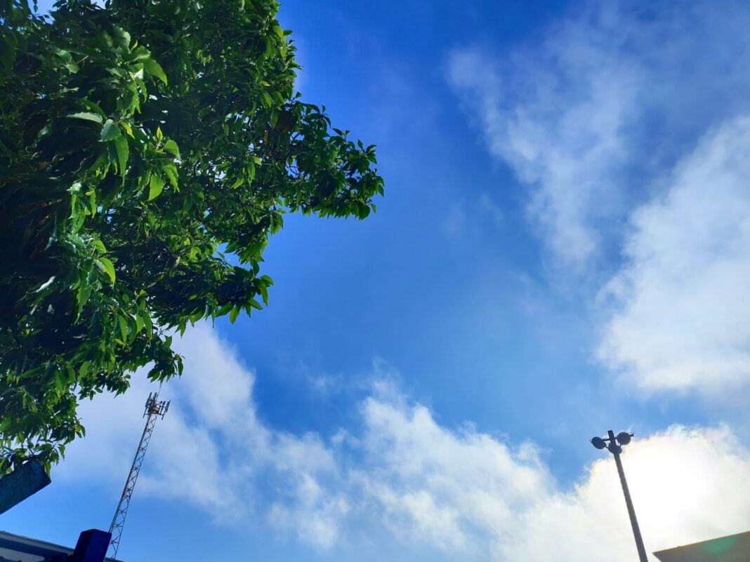 A foto mostra um céu azul claro com nuvens e árvore