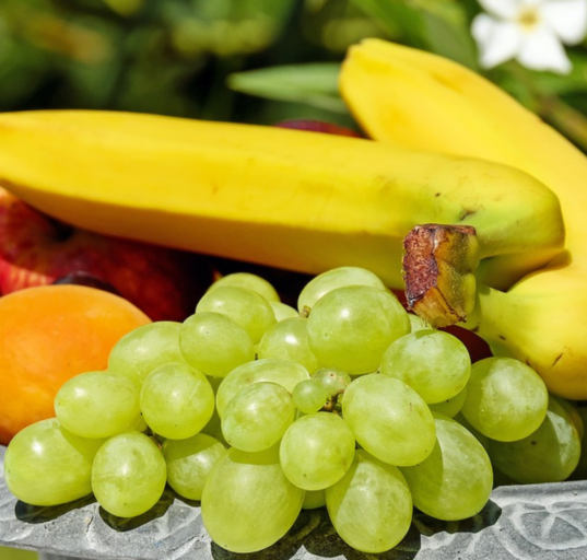 Frutas fazem parte da dieta paleolítica