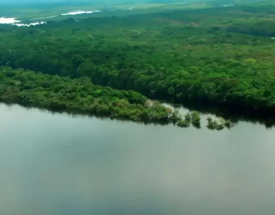 Rio Amazonas é rico em biodiversidade e tem inúmeras curiosidades