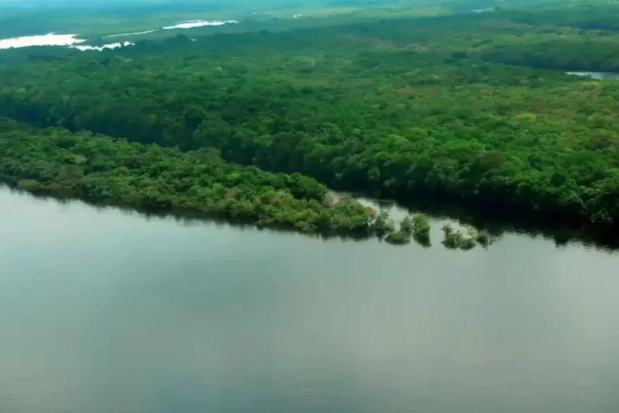 Rio Amazonas é rico em biodiversidade e tem inúmeras curiosidades