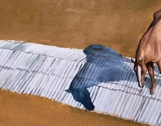 Obra de arte do artista José Acuña mostra um cavalo ilhado vítima das consequências do aquecimento global no RS