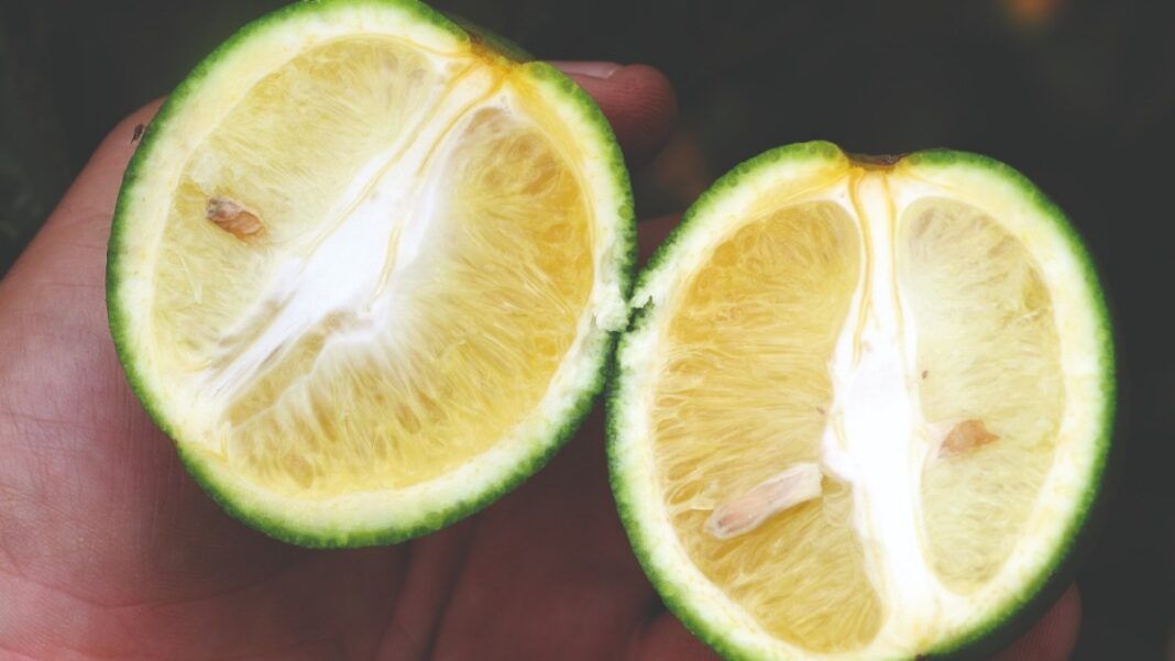 foto mostra laranja cortada ao meio